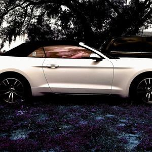 Meet your Posher, Casey